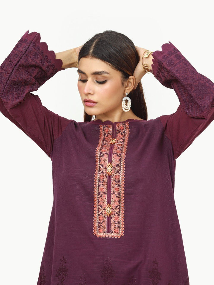 Pret 1Pc Embroidered Khaddar Shirt - EWTKE22-68672S