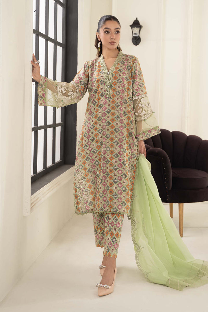 3 PIECE EMBROIDERED LAWN SUIT | DW-EF24-111