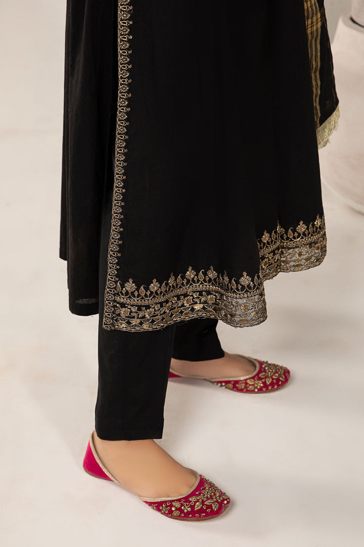 3 PIECE EMBROIDERED LAWN SUIT | DW-EF24-115