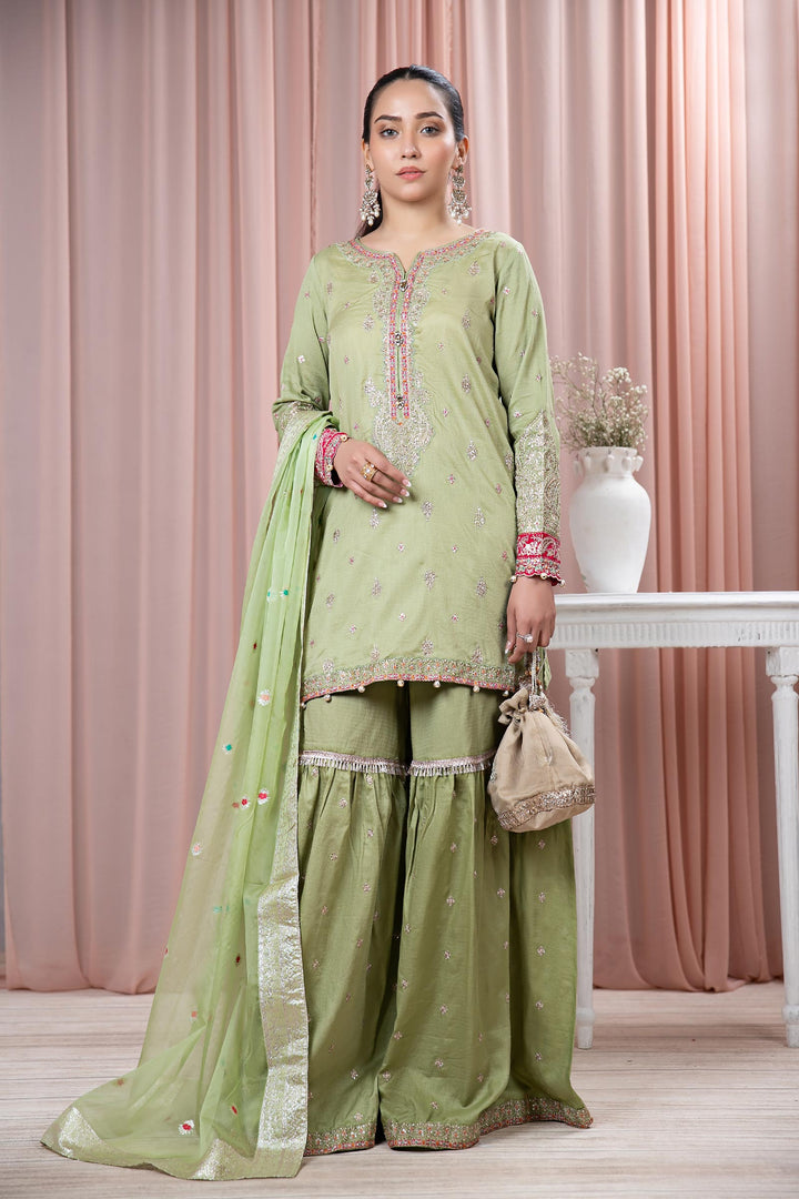 3 PIECE EMBROIDERED LAWN SUIT | DW-EF24-23