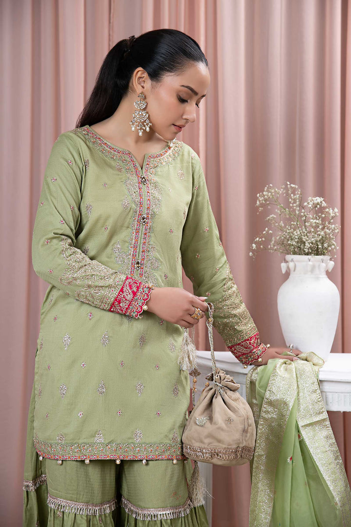 3 PIECE EMBROIDERED LAWN SUIT | DW-EF24-23