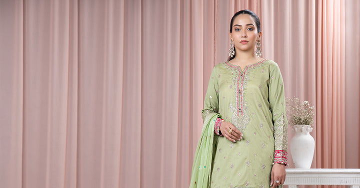 3 PIECE EMBROIDERED LAWN SUIT | DW-EF24-23