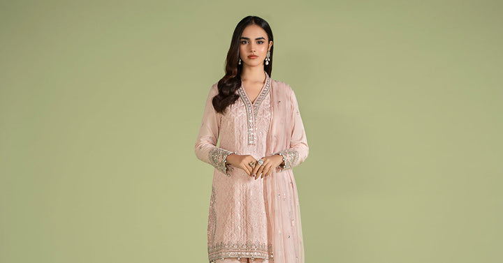 3 PIECE EMBROIDERED LAWN SUIT | DW-EF24-11