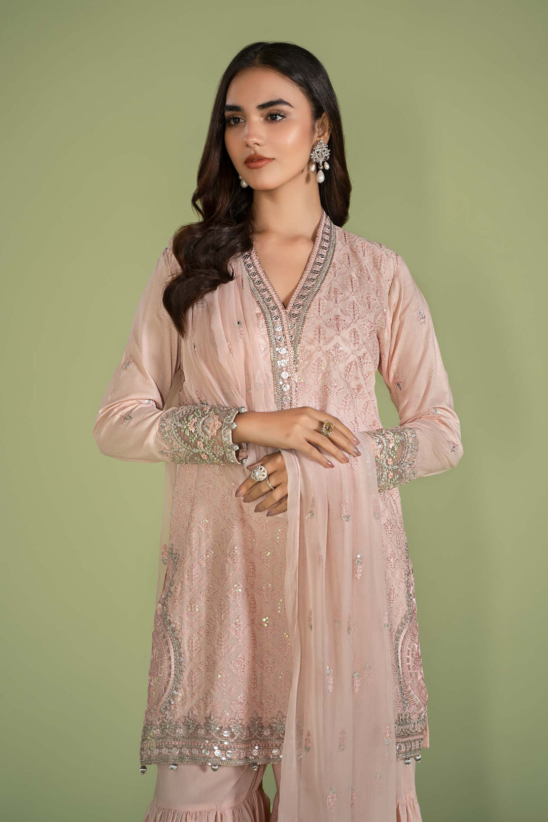 3 PIECE EMBROIDERED LAWN SUIT | DW-EF24-11