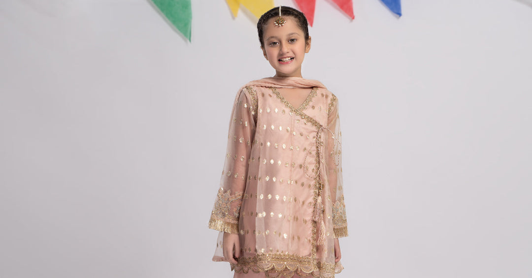 3 PIECE EMBROIDERED ORGANZA SUIT | MKS-EF24-18